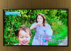 봉화산 kt500메가 티비포함 인터넷비교원 후기